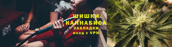 шишки Сосновка