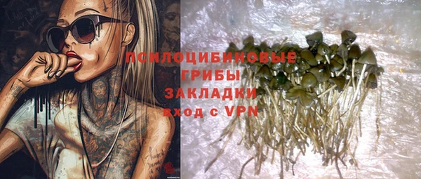 PSILOCYBIN Сосновоборск