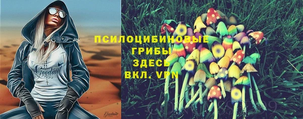 соль курить ск Строитель