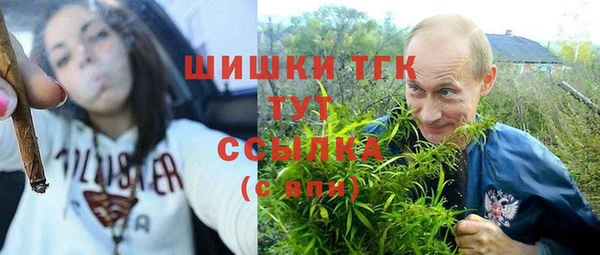 PSILOCYBIN Сосновоборск