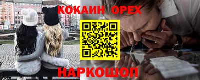 спиды Гай