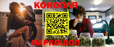 спиды Гай
