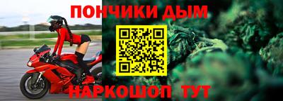спиды Гай