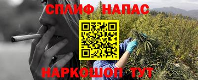 спиды Гай
