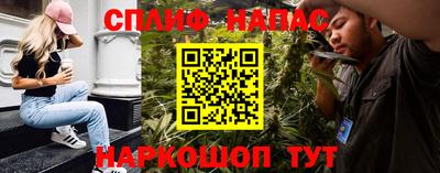 спиды Гай