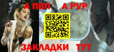 спиды Гай