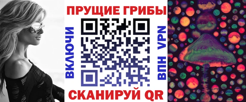 Галлюциногенные грибы MAGIC MUSHROOMS  купить   Ижевск 
