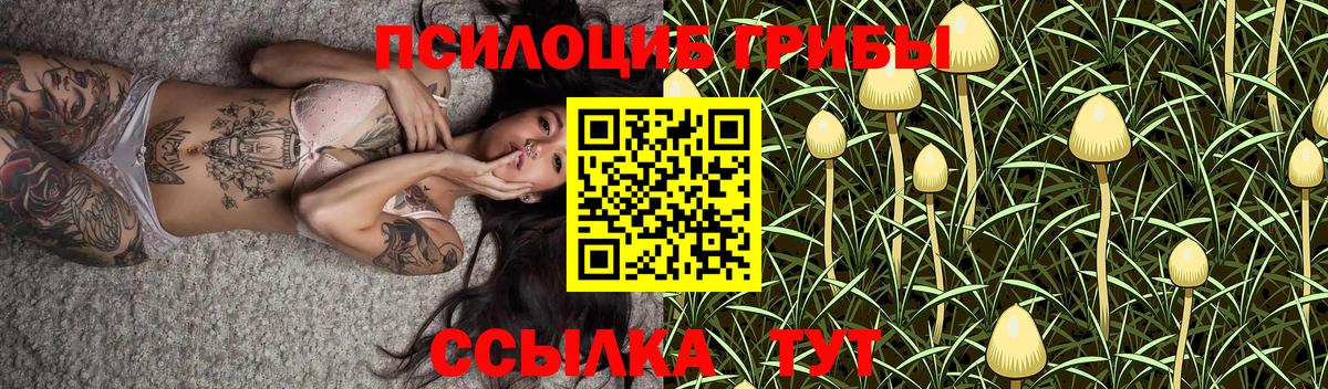 Галлюциногенные грибы Cubensis Ижевск