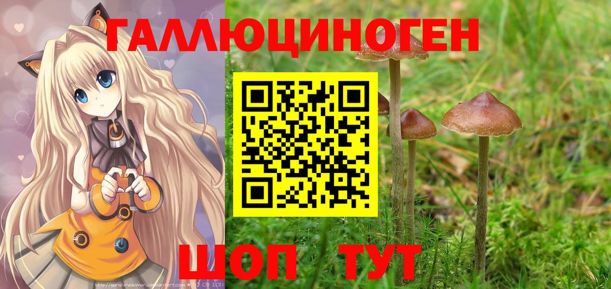 Ижевск  Галлюциногенные грибы Psilocybe  Вход с VPN  Галлюциногенные грибы прущие грибы 