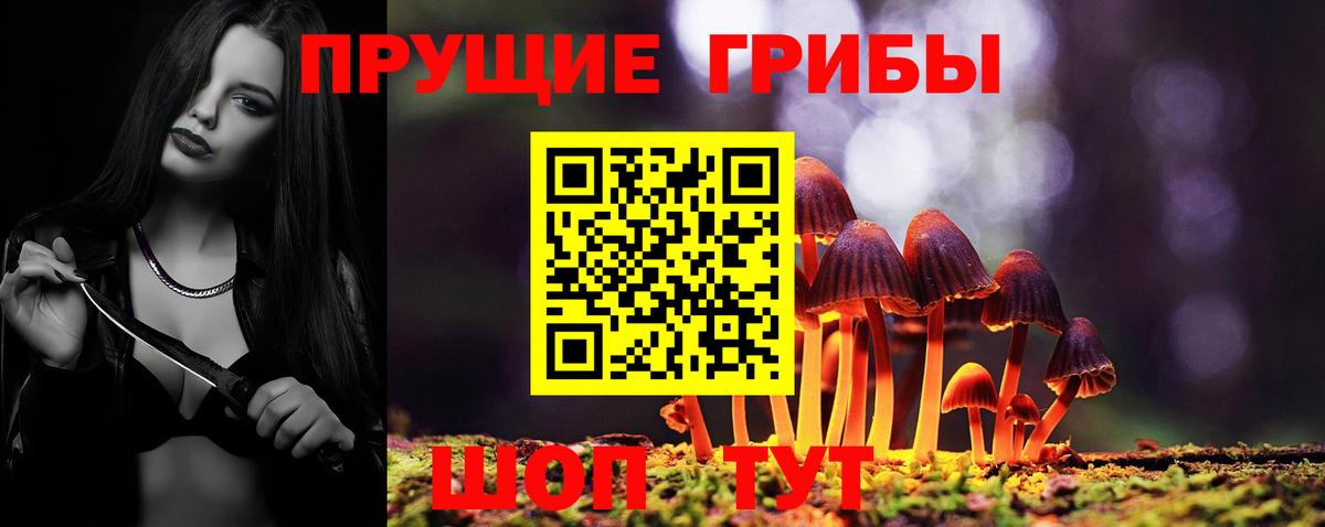 Галлюциногенные грибы Psilocybine cubensis Ижевск